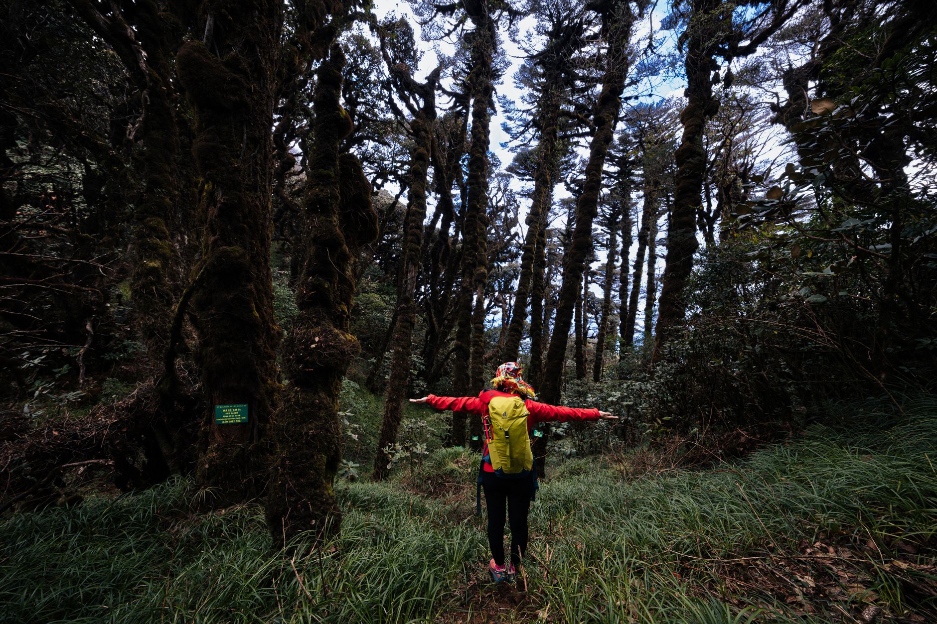 Ardennen trekking rugzak wandelkaart natuur